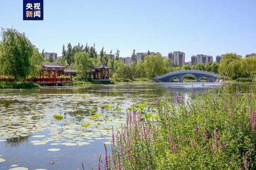 北京十年绿色奇迹 城市绿化面积相当于219个奥林匹克森林公园