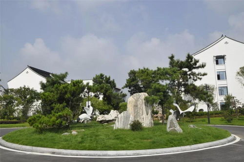 热烈祝贺紫荆花怡养小镇景观绿化一期工程荣获年度六安市建设工程“皋城杯”奖