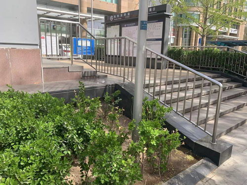 追踪报道 城市绿化带，犄角旮旯里的垃圾不见了——探访城市绿化精细化管理的转变