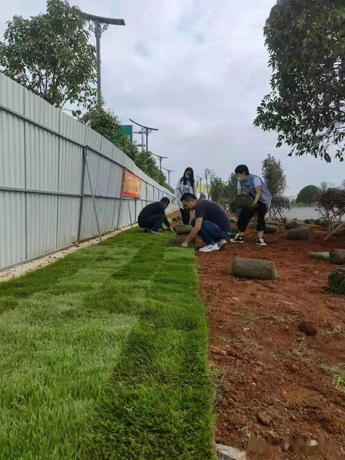 党建引领办实事，绿化机场路更美——市交管处党支部开展主题党日活动