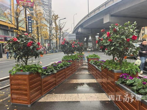 增香添彩进行时 市中区邱家嘴路口换新装，街头增亮色城市绿化管理